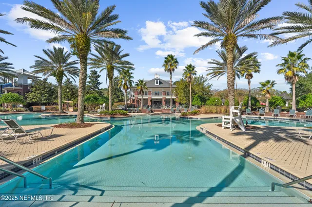 a view of a swimming pool with a lawn chairs and palm tree