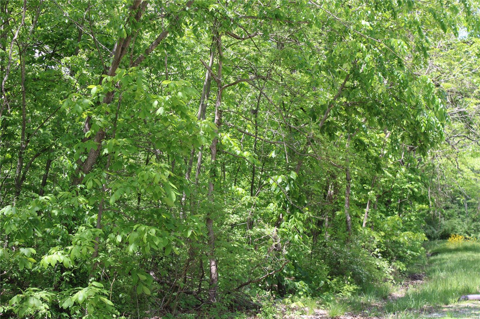 7406 Bottoms Road New Athens, IL 62264 - Photo 11 of 31