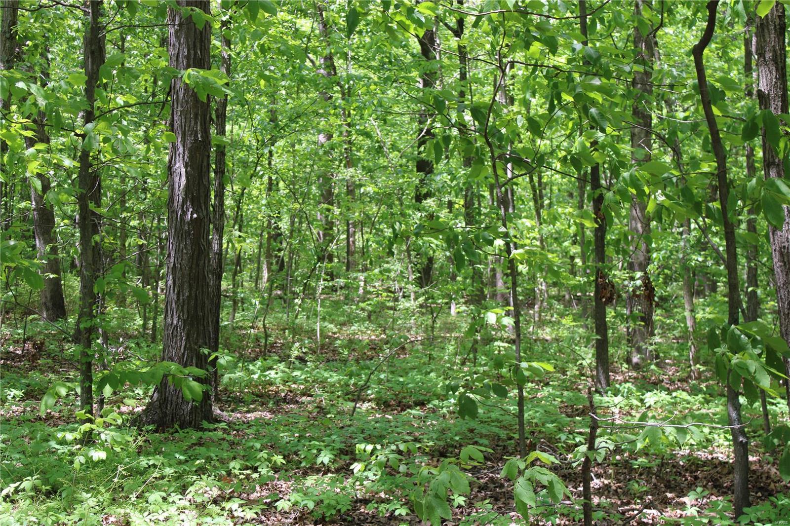 7406 Bottoms Road New Athens, IL 62264 - Photo 13 of 31