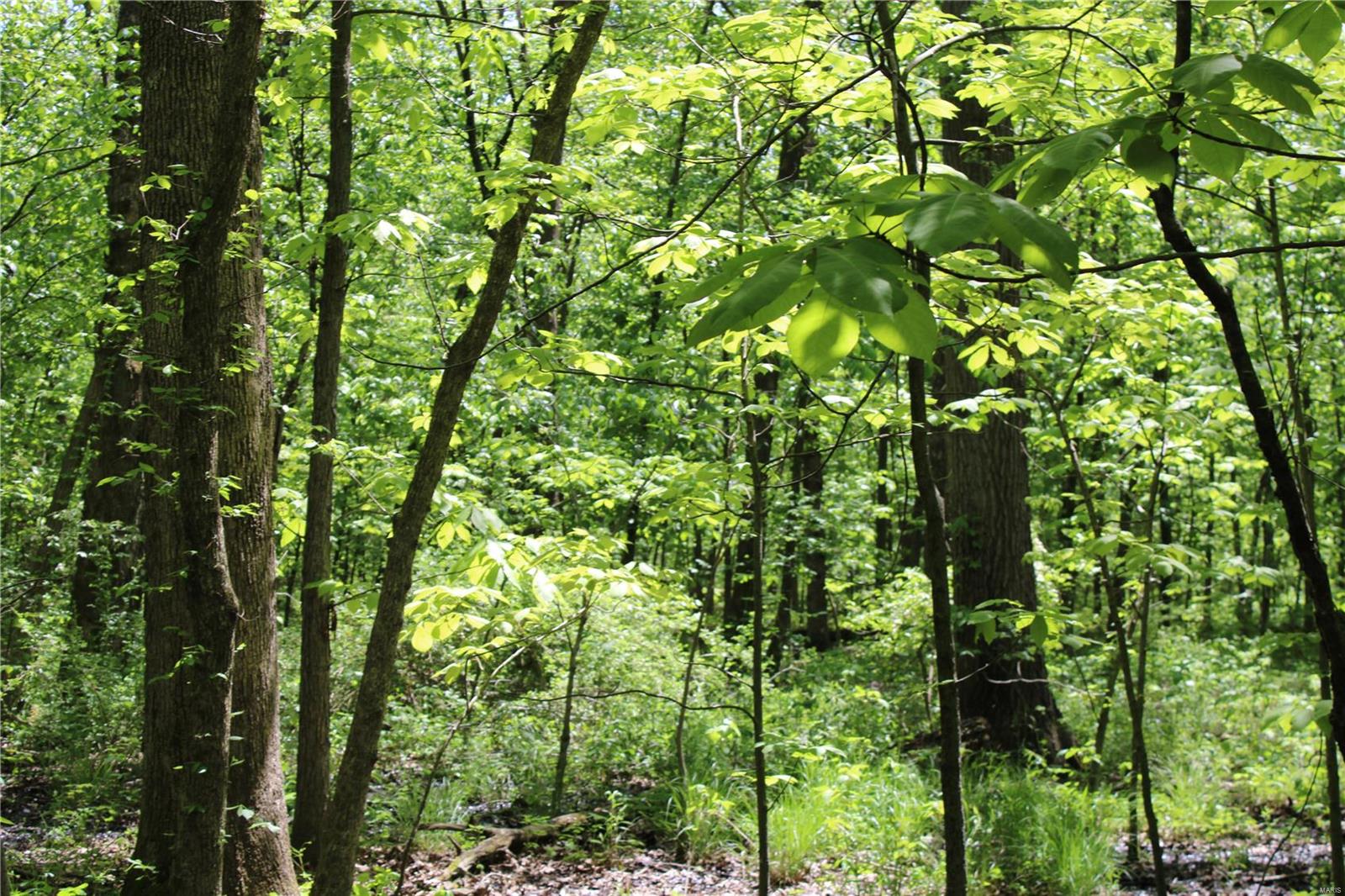 7406 Bottoms Road New Athens, IL 62264 - Photo 22 of 31
