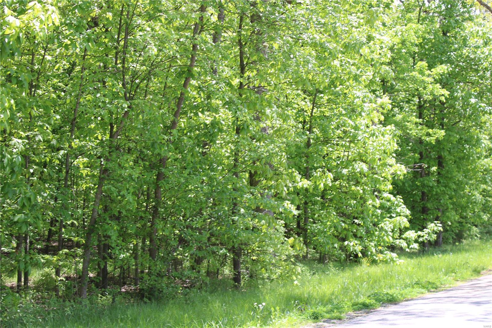 7406 Bottoms Road New Athens, IL 62264 - Photo 26 of 31