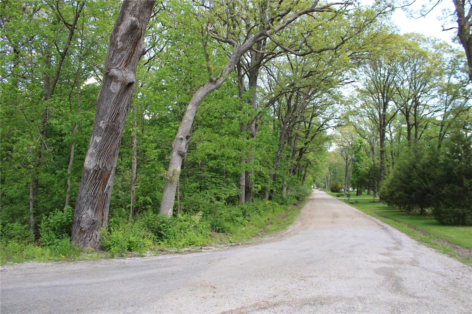 7406 Bottoms Road New Athens, IL 62264 - Photo 28 of 31