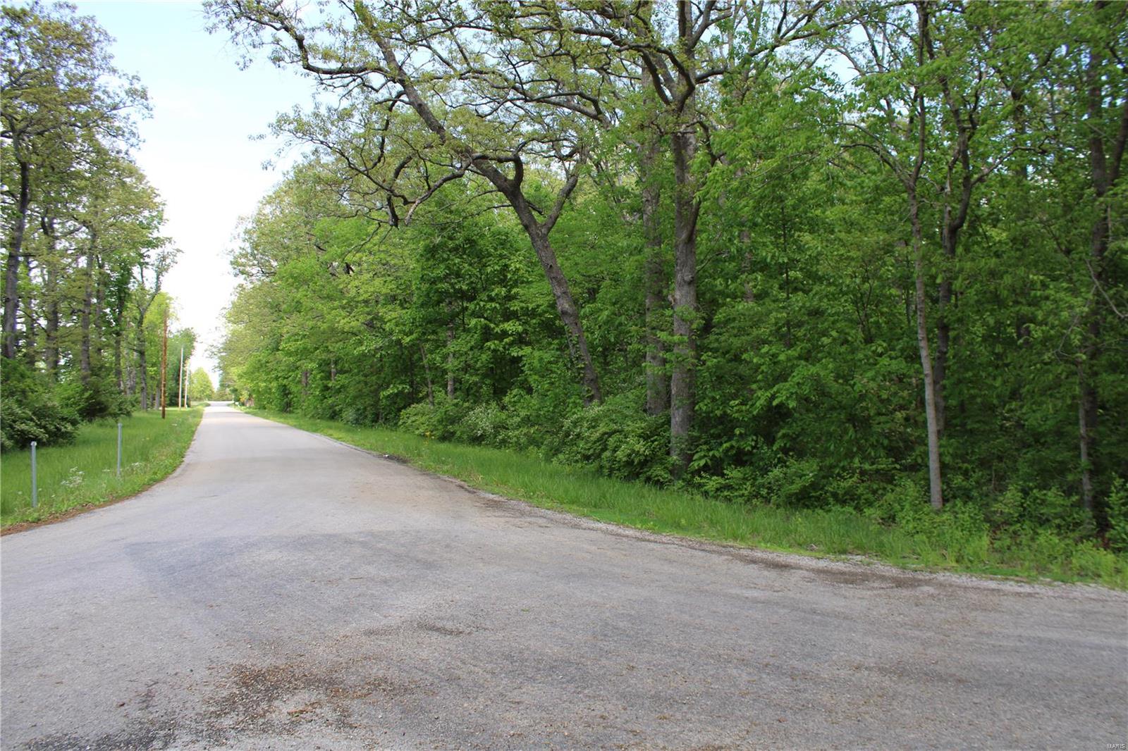 7406 Bottoms Road New Athens, IL 62264 - Photo 29 of 31