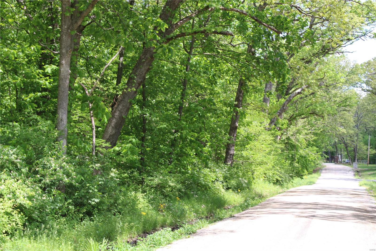 7406 Bottoms Road New Athens, IL 62264 - Photo 9 of 31
