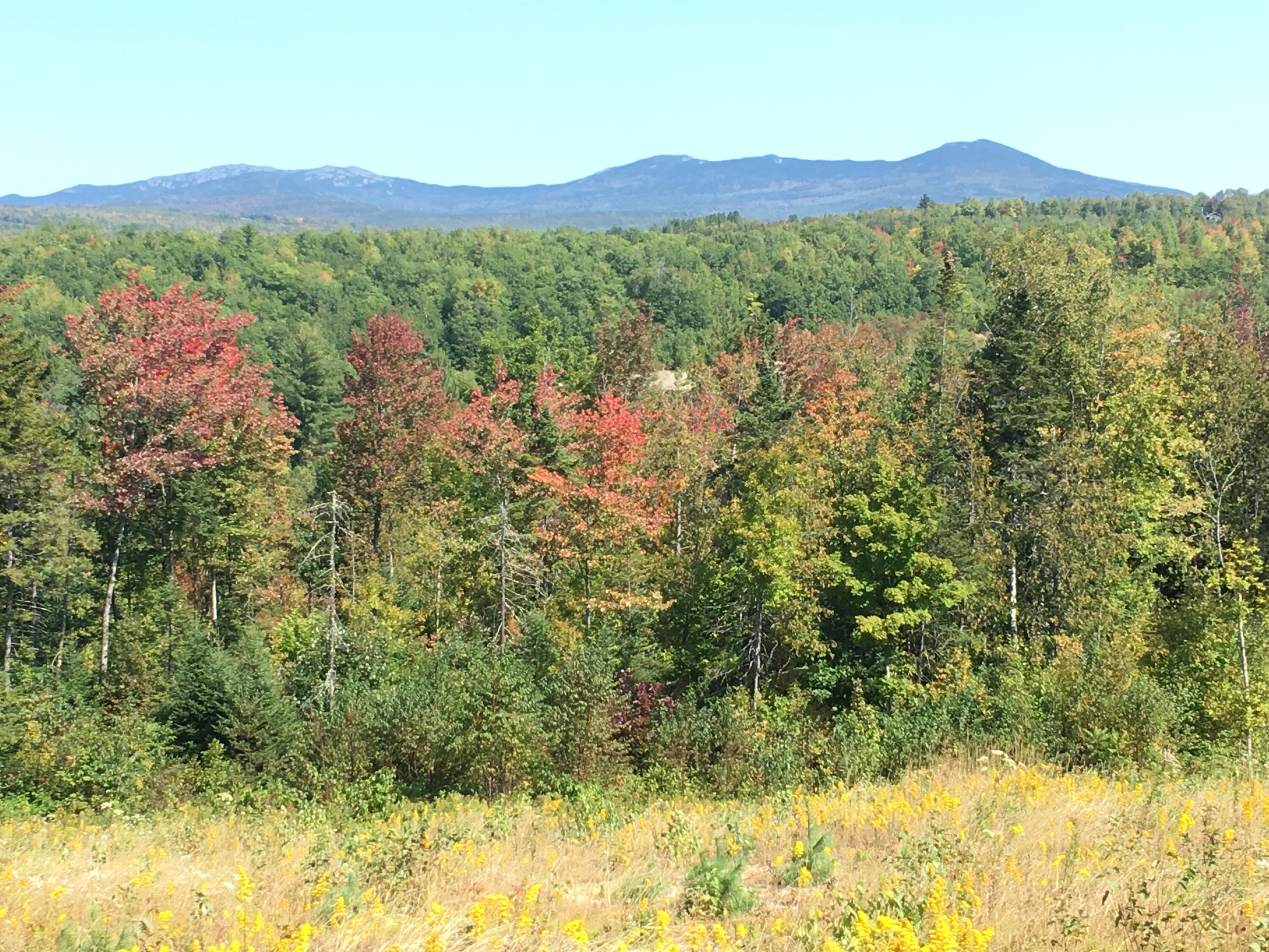 149 Airport Road Phillips, ME 04966 - Photo 11 of 16 IMG_6872