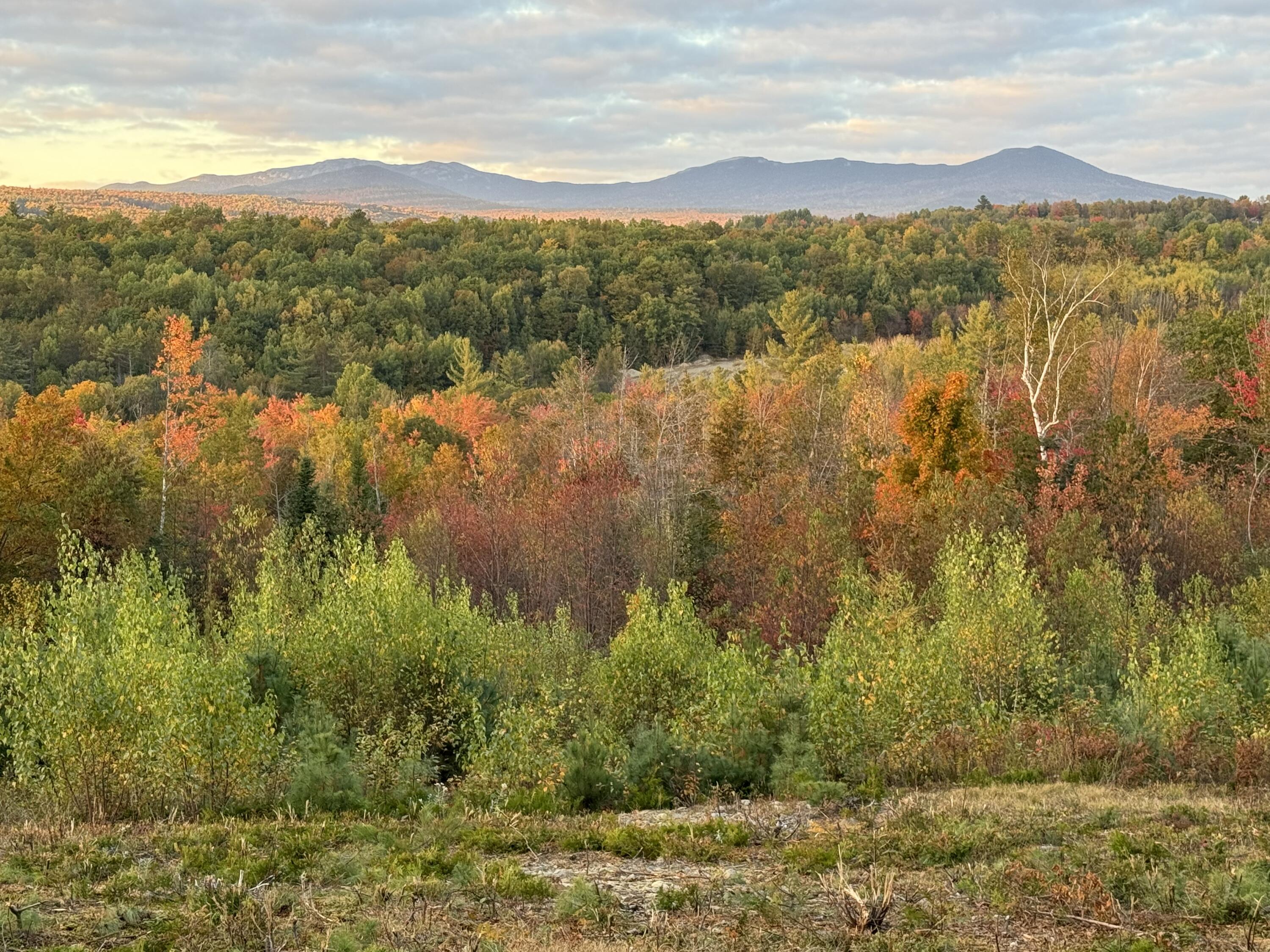 149 Airport Road Phillips, ME 04966 - Photo 7 of 16 IMG_2227