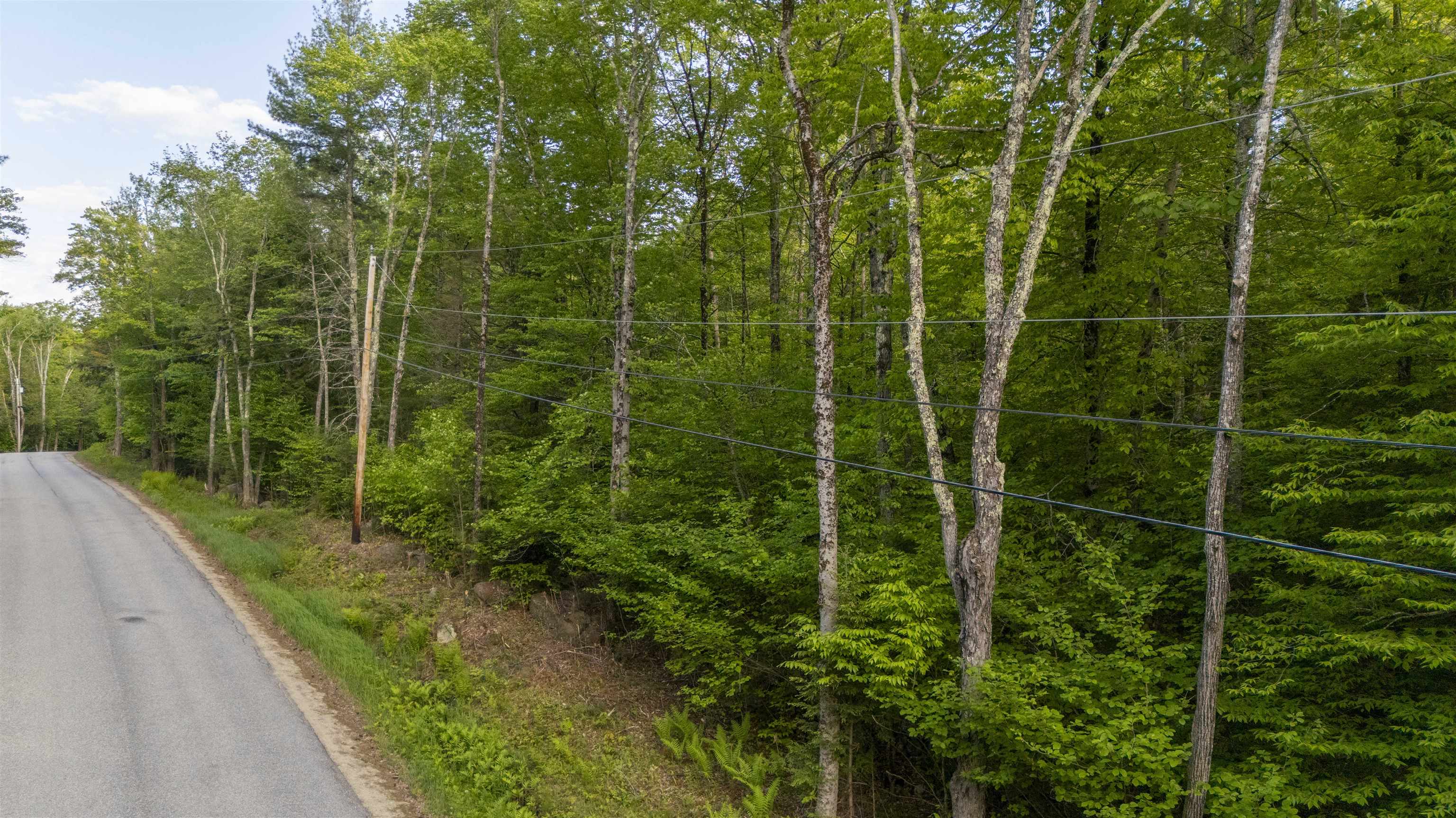 Lot 200-157 Roby Road South Sutton, NH 03273 - Photo 5 of 19