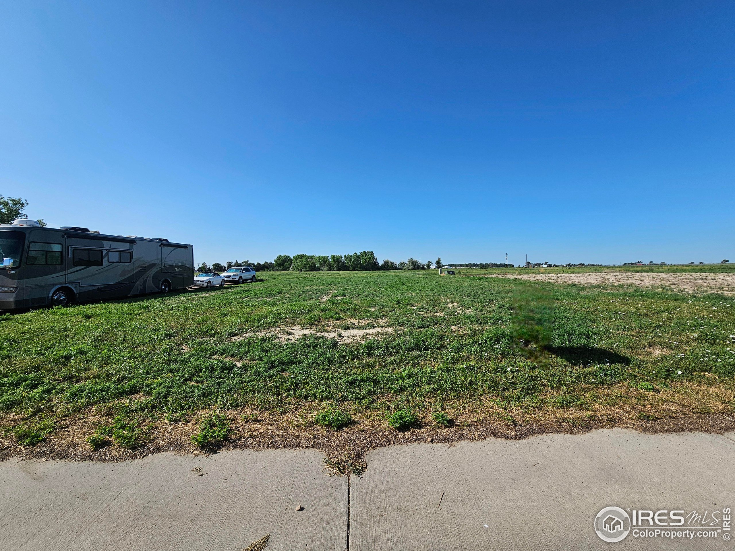 a view of a field with an ocean