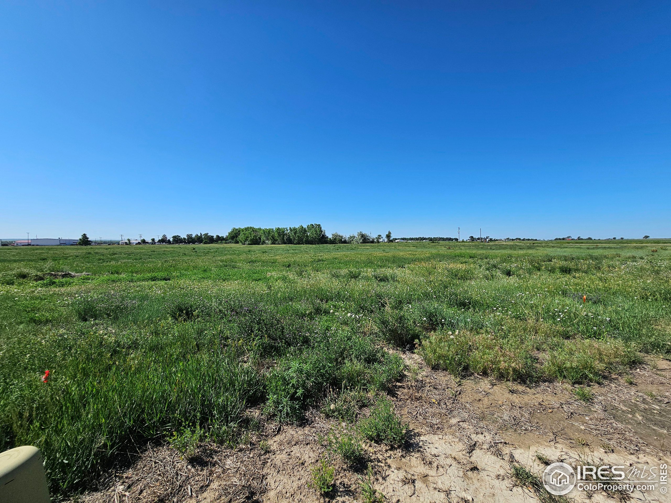 829 Nicole Road Sterling, CO 80751 - Photo 12 of 14 a view of a field with an trees