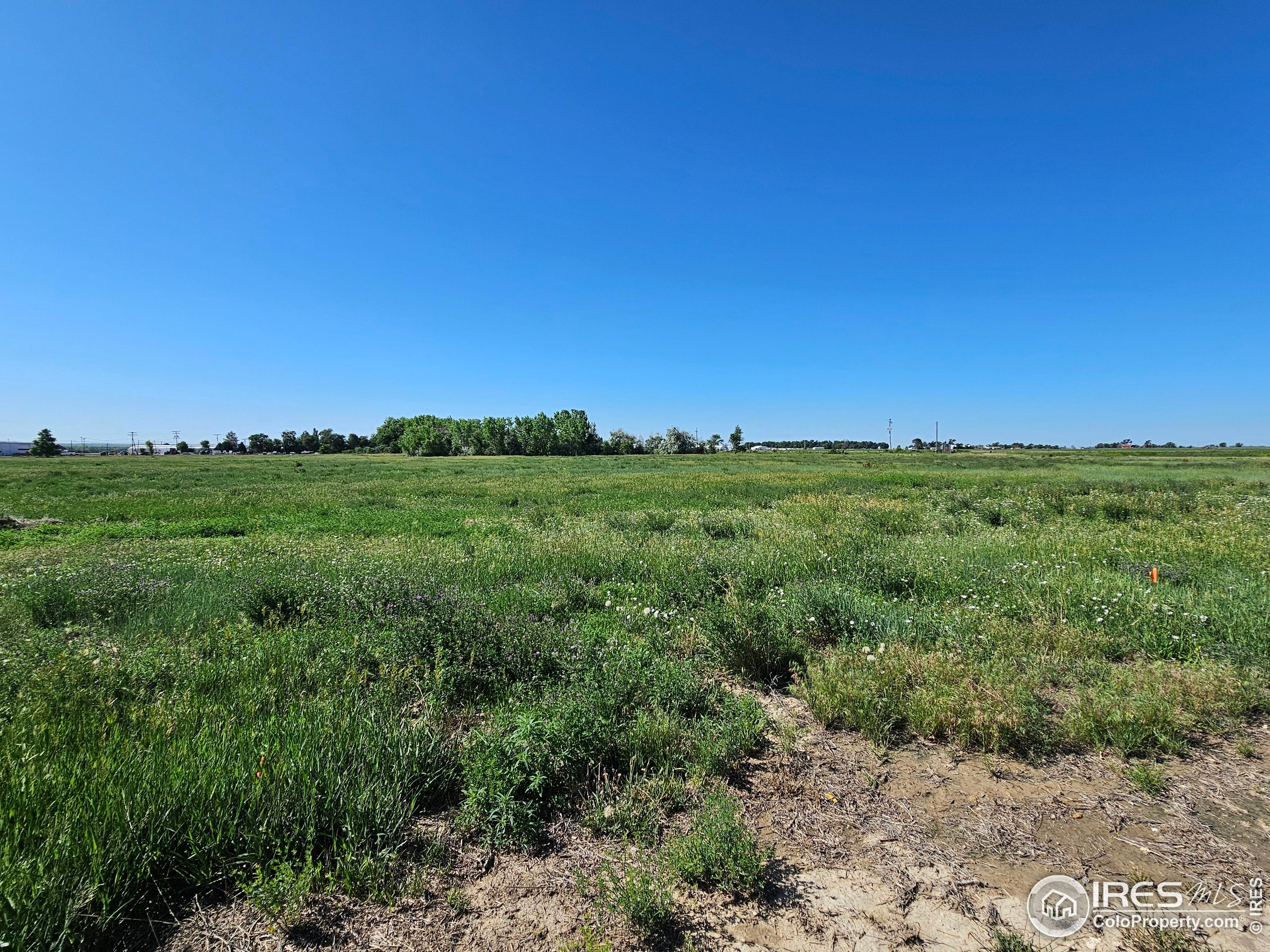 829 Nicole Road Sterling, CO 80751 - Photo 14 of 14 a view of a field with a tree