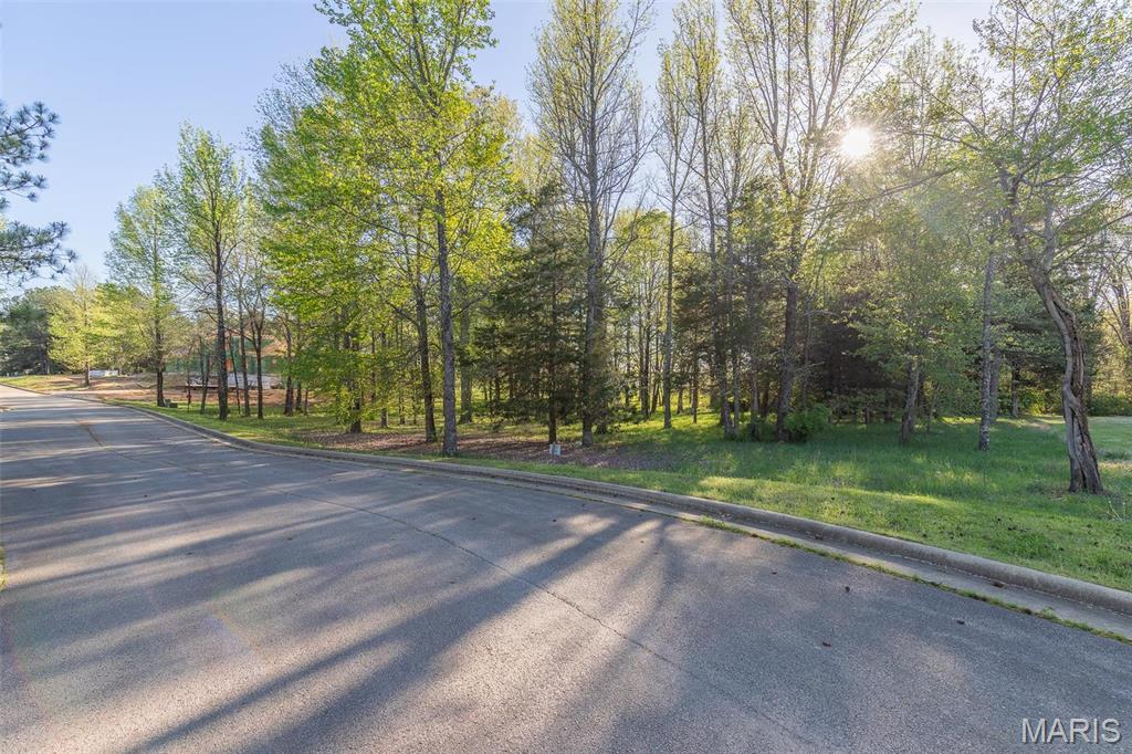 0 Lot Poplar Bluff, MO 63901 - Photo 5 of 17