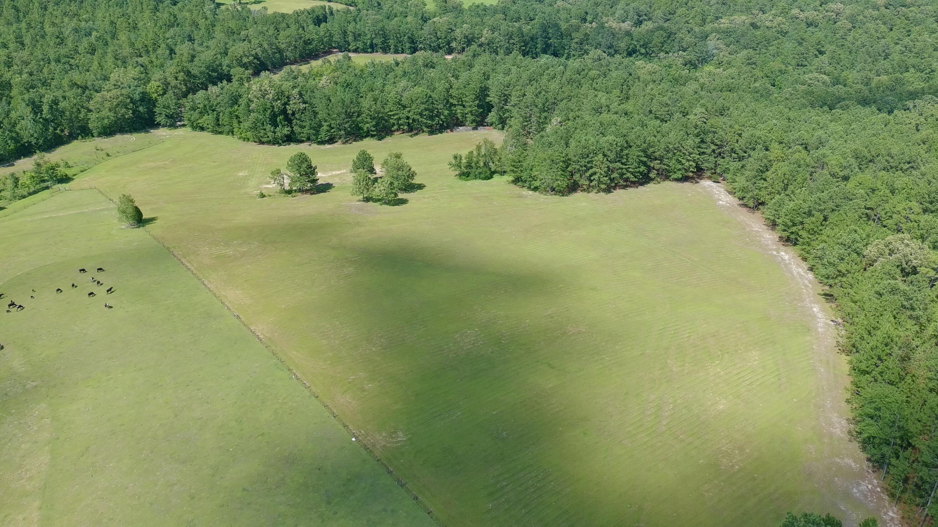 41-acres Whiskey Road Aiken, SC 29803 - Photo 11 of 44