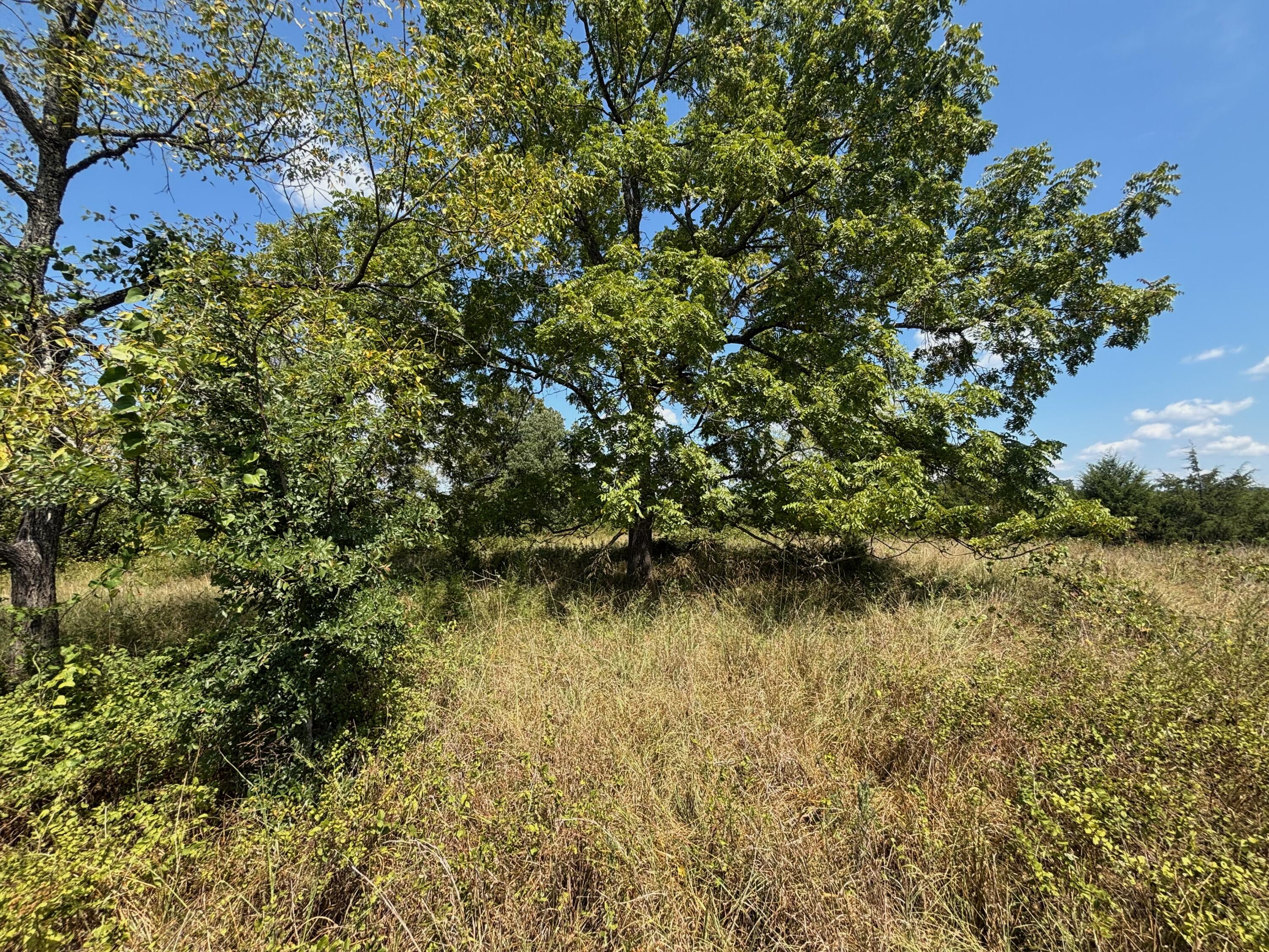 5 Little Woods Road Elizabeth, AR 72531 - Photo 20 of 29 5 4