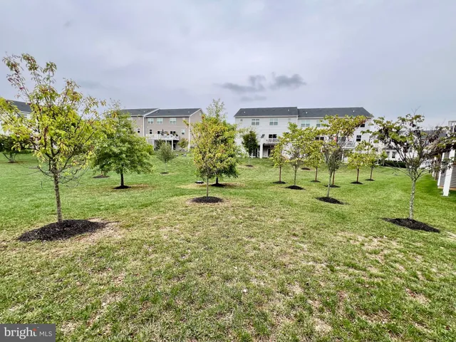 a view of a big yard with plants and a bench