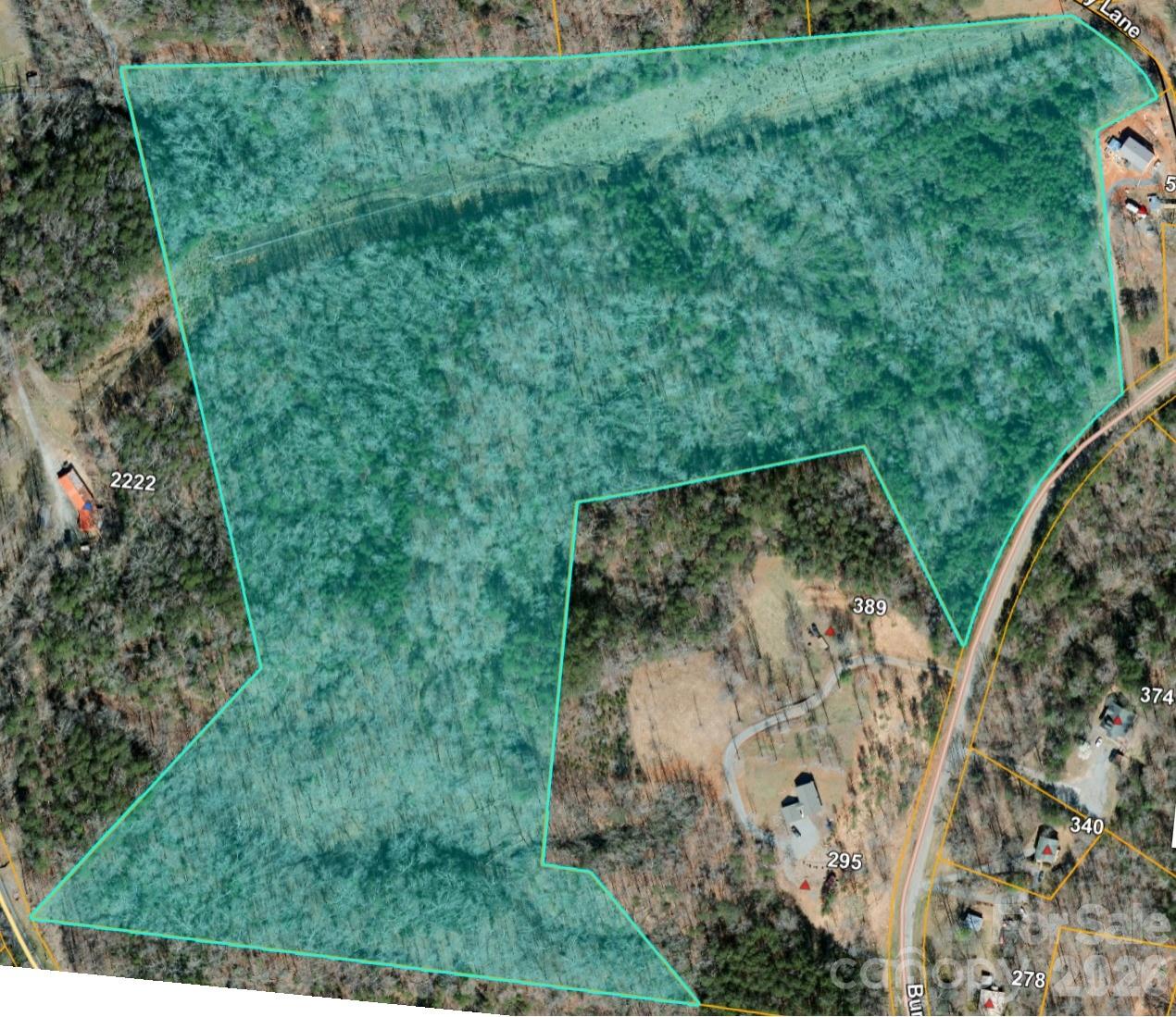 0 Burt Blackwell Road Mill Spring, NC 28756 - Photo 6 of 10