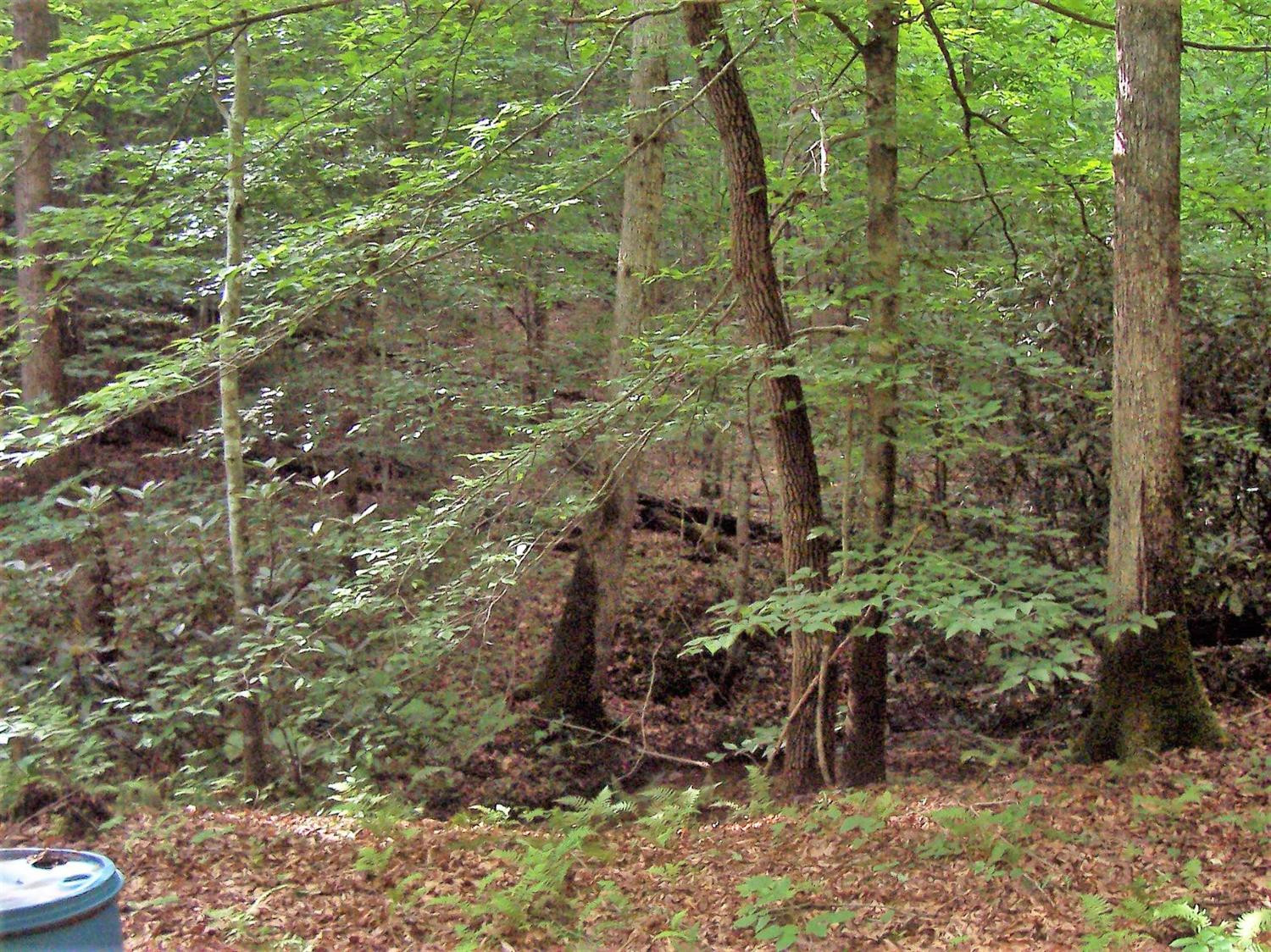 4236 Beech Timber Road Beattyville, KY 41311 - Photo 44 of 76 Photo 44