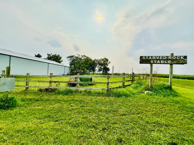 a view of a park with lots of trees