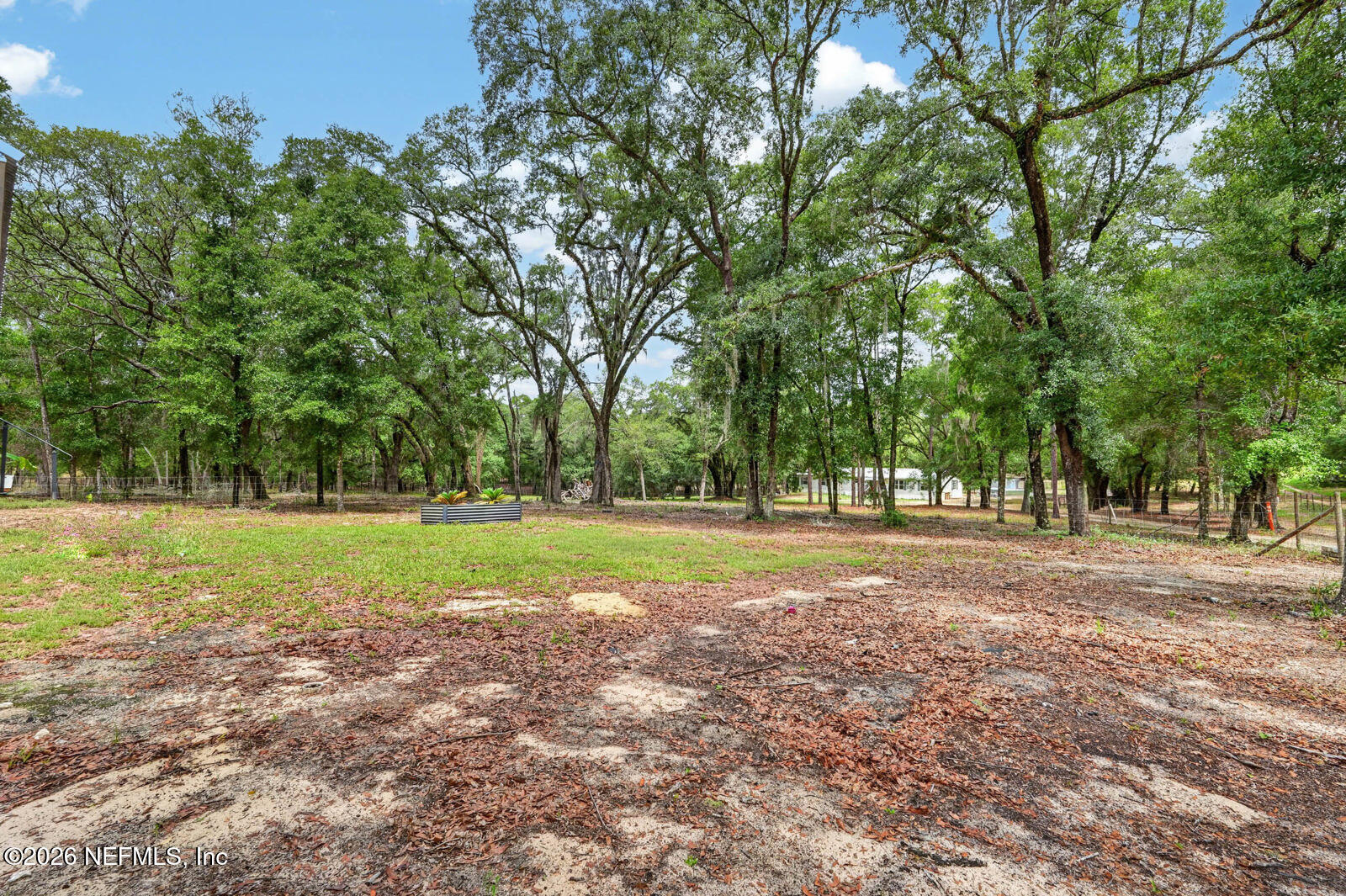 134 Windy Hills Road Hawthorne, FL 32640 - Photo 45 of 66 50_dsc09521