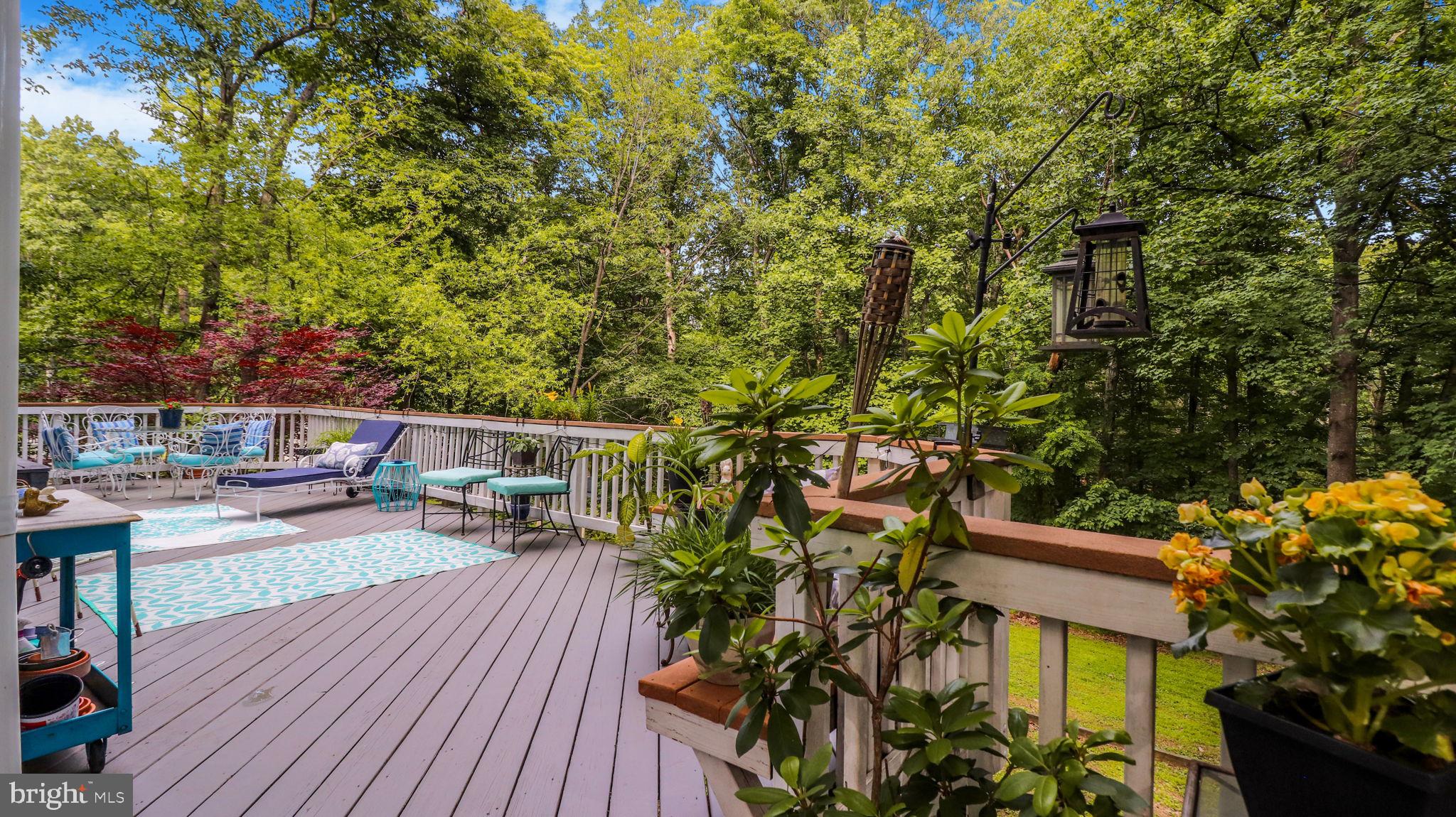 1405 Mercer Road Haymarket, VA 20169 - Photo 32 of 89 Gallery Image 32