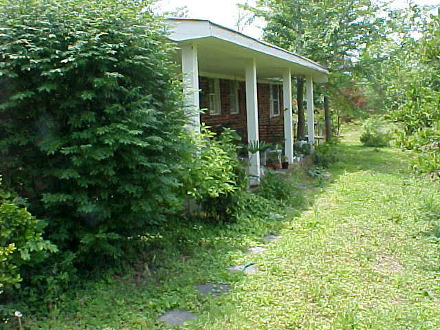 Primary Photo