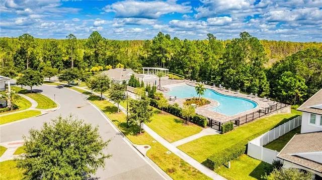a view of a swimming pool with potted plants