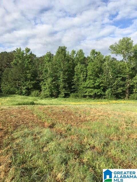 0 Highway 231, Unit 1 5 Oneonta, AL 35121 - Photo 23 of 23