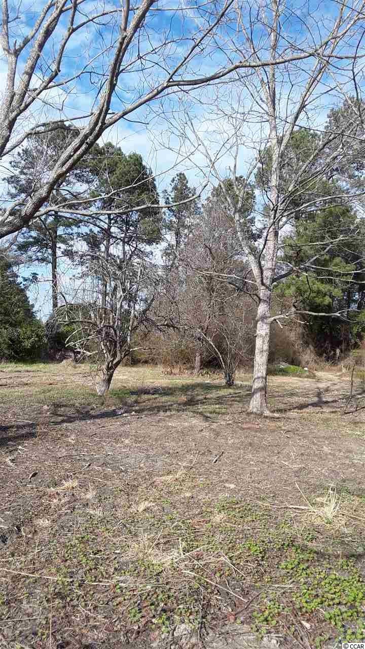6112 Nazarene Road Mullins, SC 29574 - Photo 13 of 16 Gallery Image 13