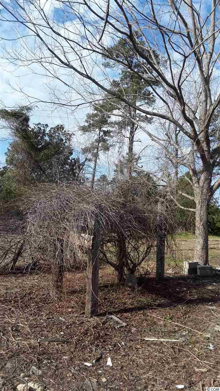 6112 Nazarene Road Mullins, SC 29574 - Photo 14 of 16 Gallery Image 14