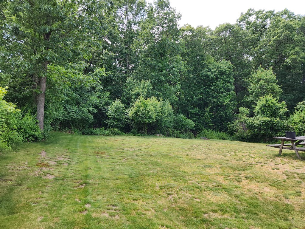946 Bradley Road Springfield, MA 01109 - Photo 3 of 16 a view of an outdoor space and a yard
