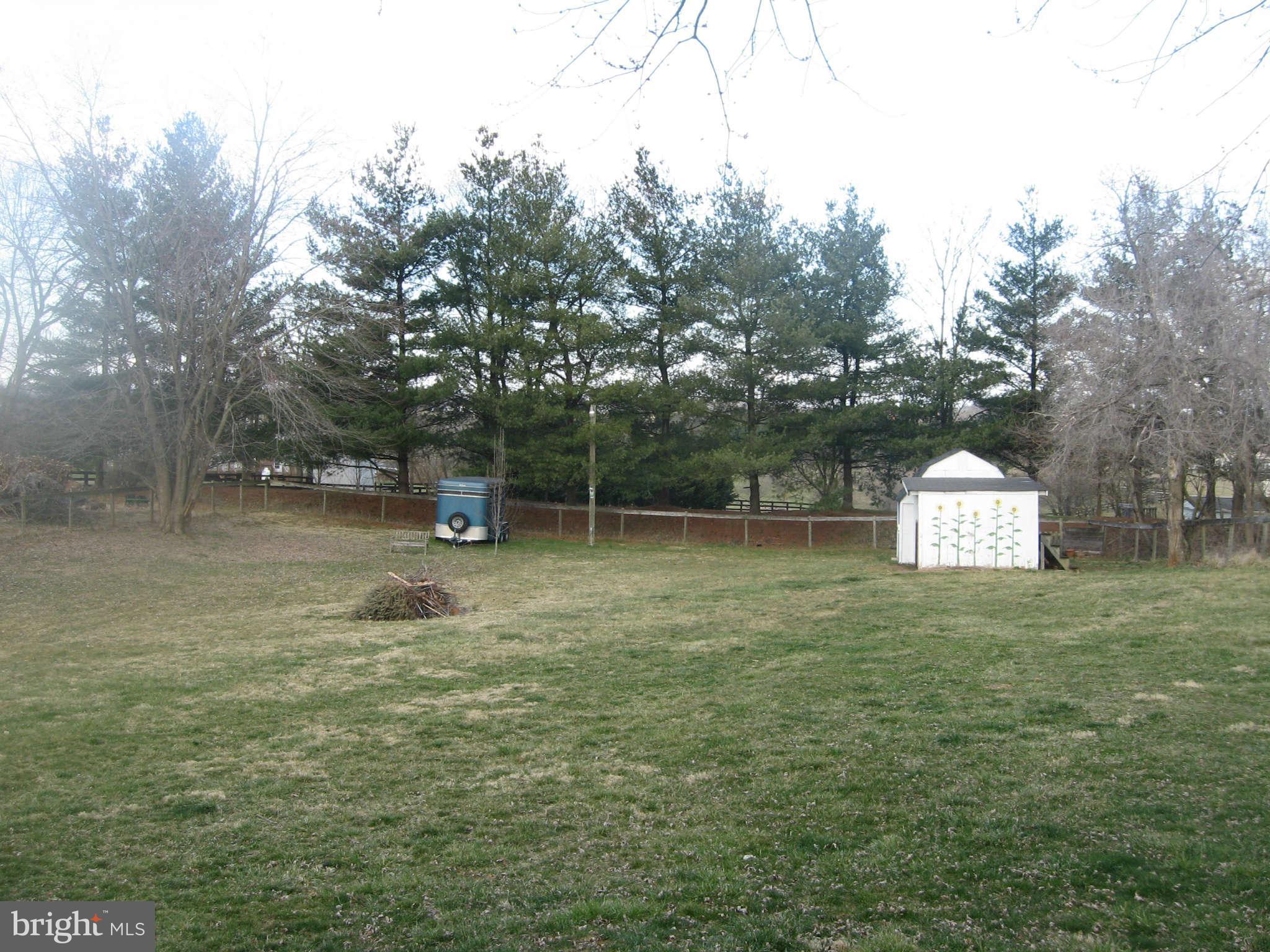 261 Shepherds Mill Road Berryville, VA 22611 - Photo 18 of 24 Rear Yard