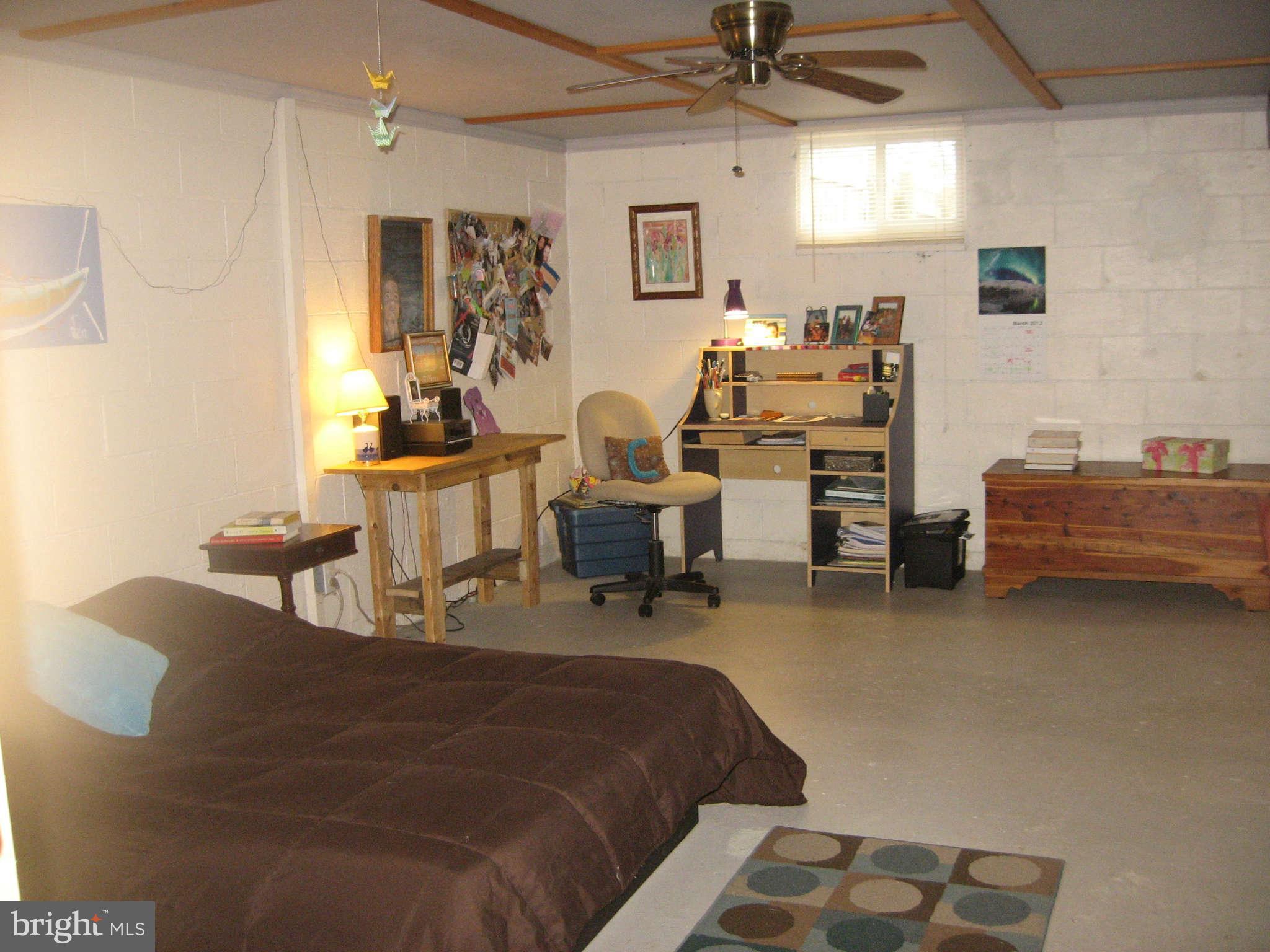 261 Shepherds Mill Road Berryville, VA 22611 - Photo 10 of 24 Rec Room/ Bonus Room