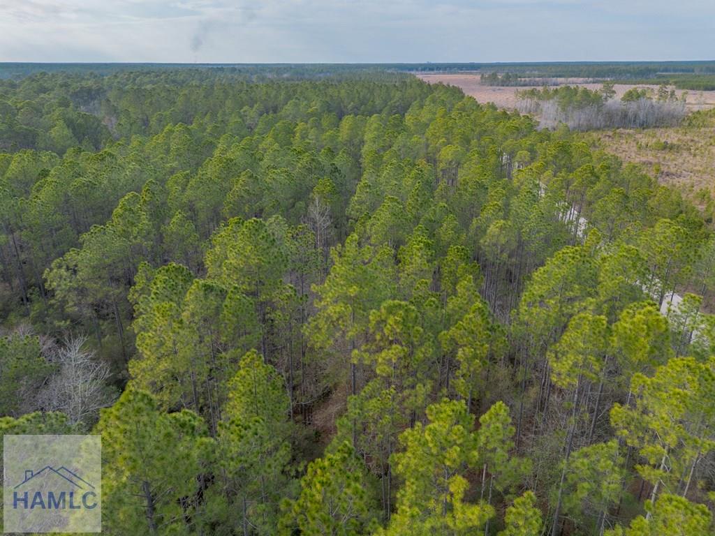 3 Reddish Road Screven, GA 31560 - Photo 30 of 55 Gallery Image 30