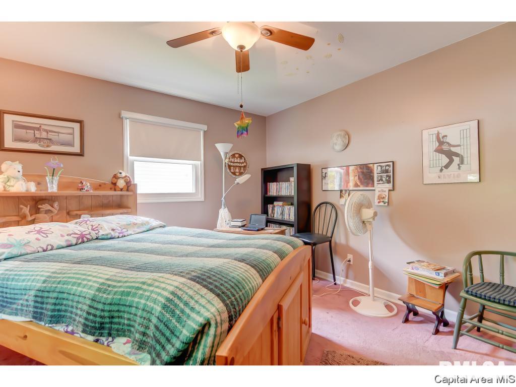 127 Dickinson Road Springfield, IL 62704 - Photo 23 of 34