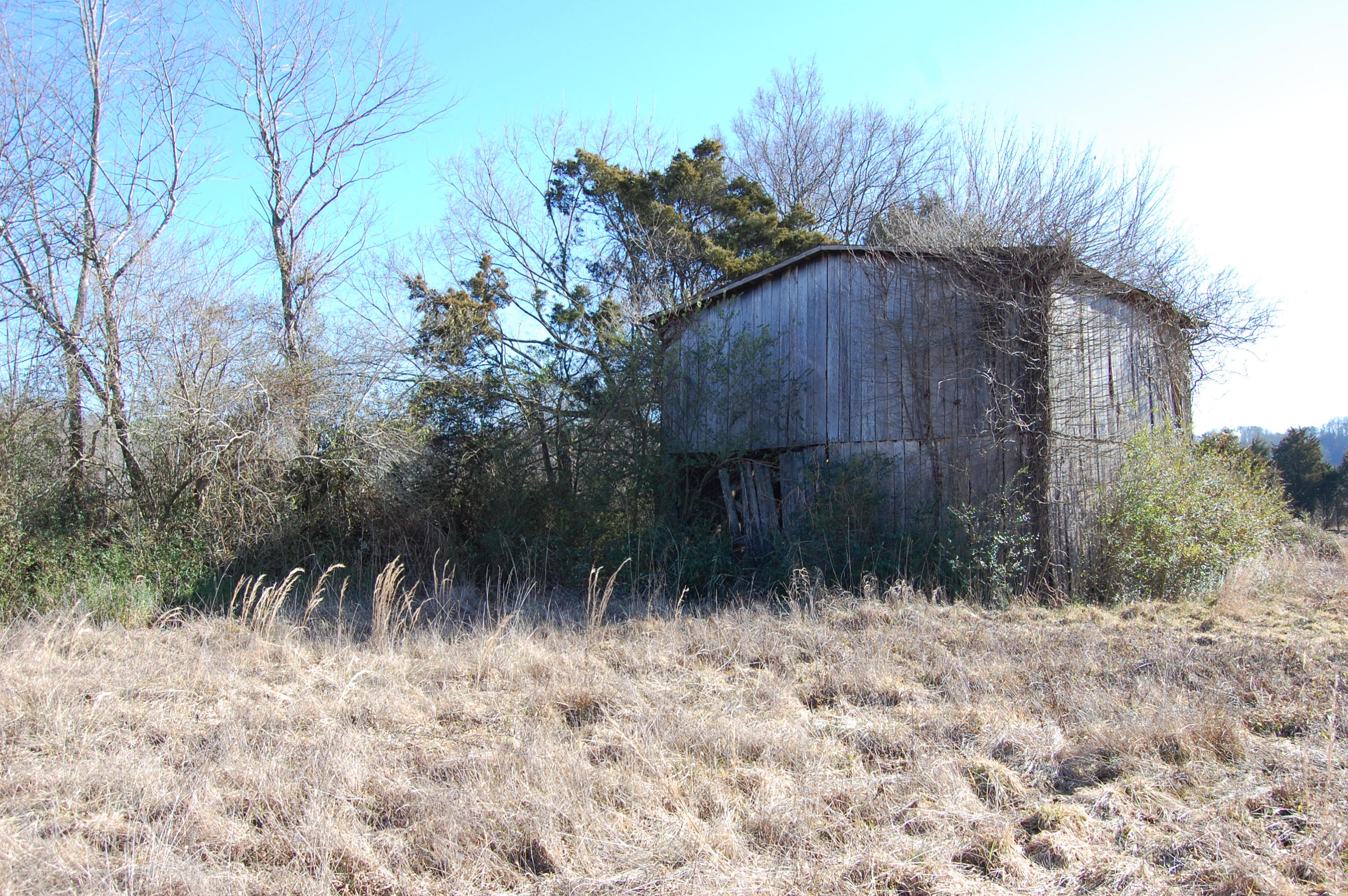 2715 Byington Beaver Ridge Road Knoxville, TN 37931 - Photo 5 of 6 Back-Barn