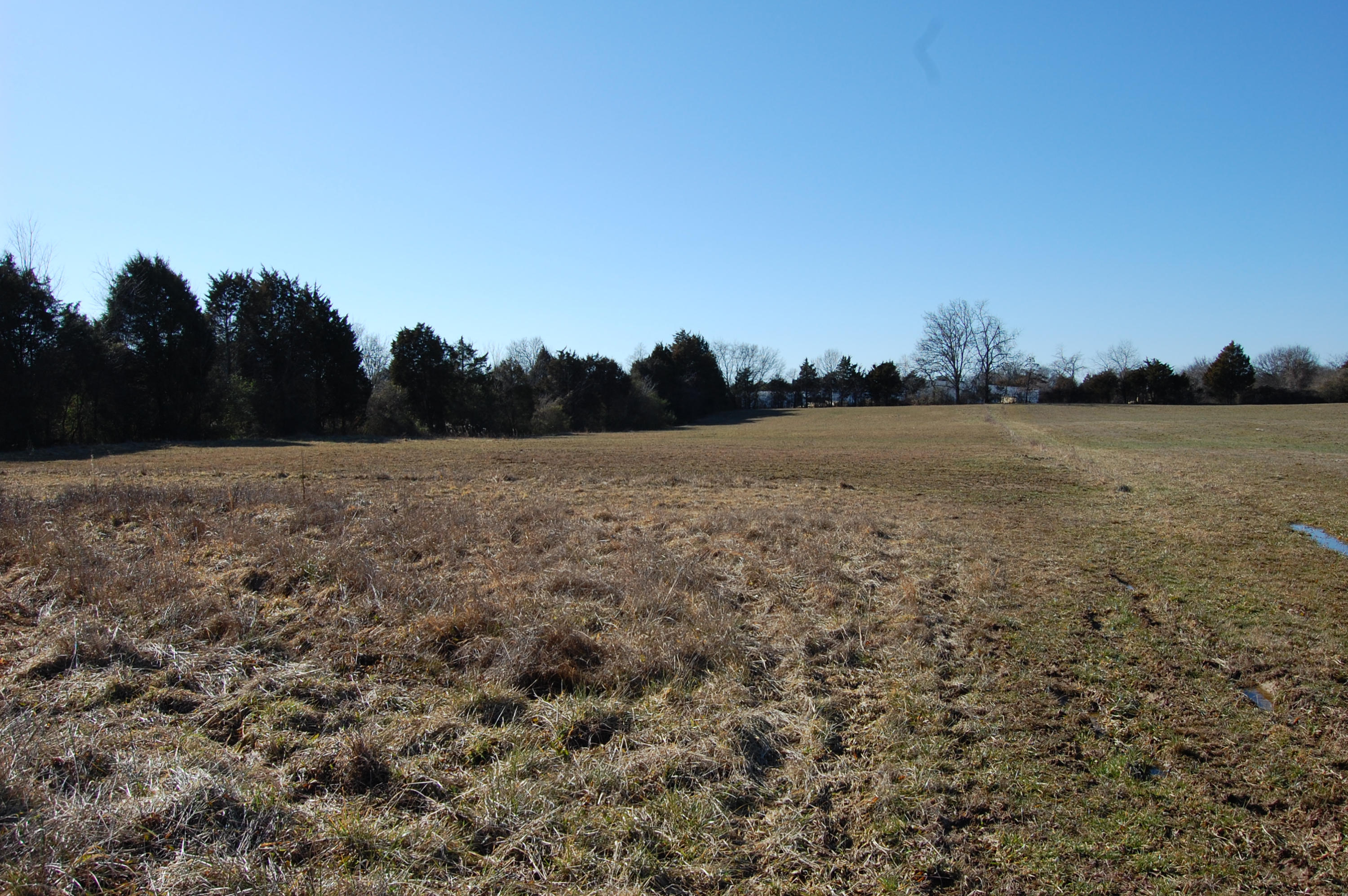 2715 Byington Beaver Ridge Road Knoxville, TN 37931 - Photo 6 of 6 Back-Field