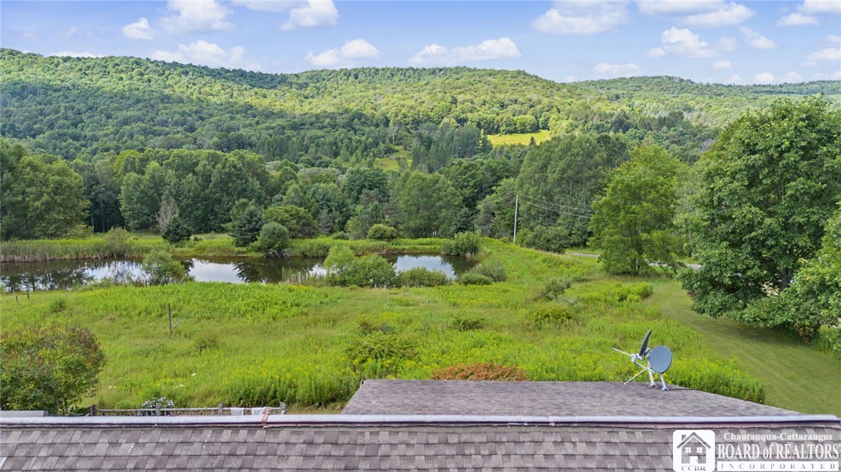 4535 Oliver Road Franklinville, NY 14737 - Photo 49 of 50 Gallery Image 49