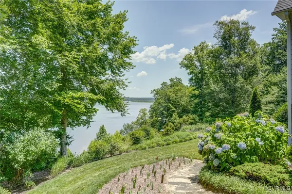 a view of a garden with a tree