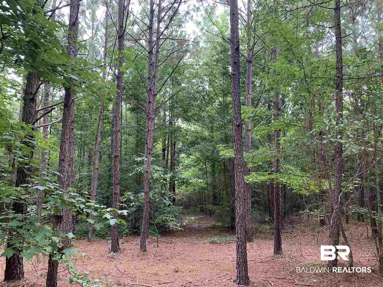 1178 Dry Lake Road Luverne, AL 36049 - Photo 27 of 50