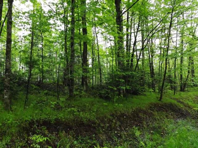 On Military Road, Unit LOT 4 Eagle River, WI 54521 - Photo 4 of 4 Gallery Image 4