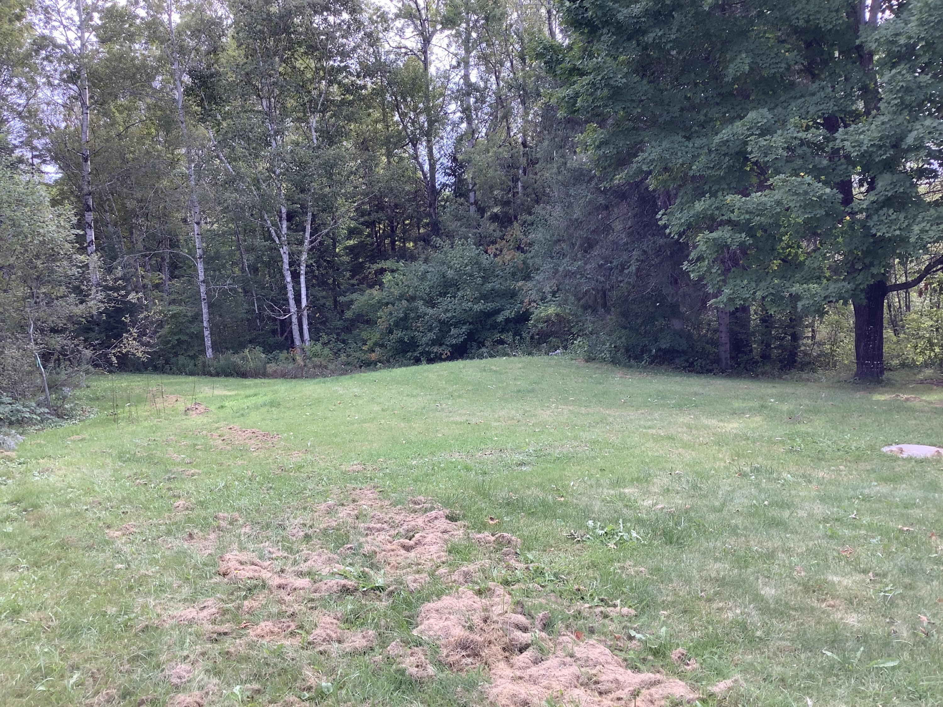 404 North Wade Road Washburn, ME 04786 - Photo 9 of 9 BC2E4C57-ED87-4646-B0EF-6F03F58A7443