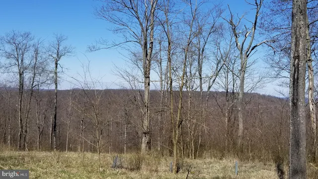 $99,000 | 3-4 Ridge Run Road, McHenry, MD 21541