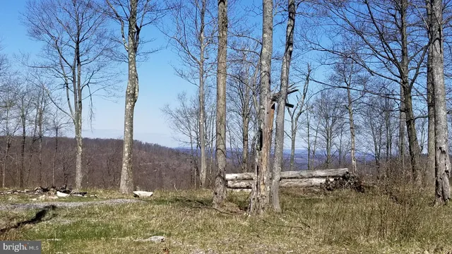 $99,000 | 3-4 Ridge Run Road, McHenry, MD 21541