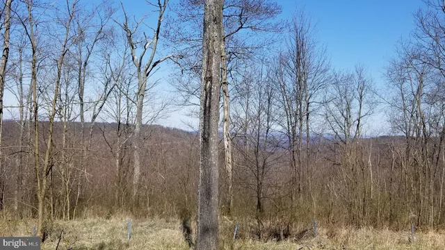 $99,000 | 3-4 Ridge Run Road, McHenry, MD 21541