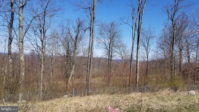 $99,000 | 3-4 Ridge Run Road, McHenry, MD 21541