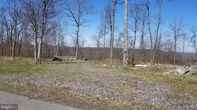 $99,000 | 3-4 Ridge Run Road, McHenry, MD 21541