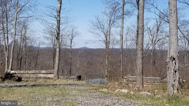 $99,000 | 3-4 Ridge Run Road, McHenry, MD 21541