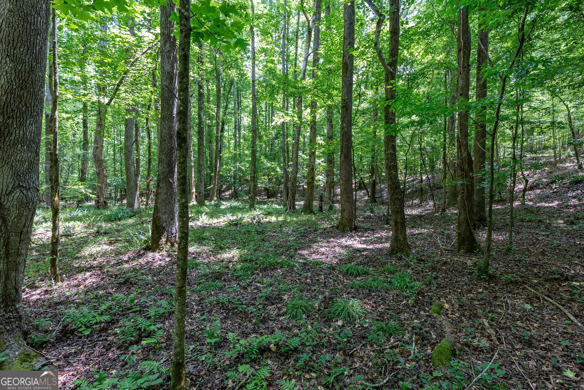 543 Faust Farm Road Crawford, GA 30630 - Photo 11 of 22