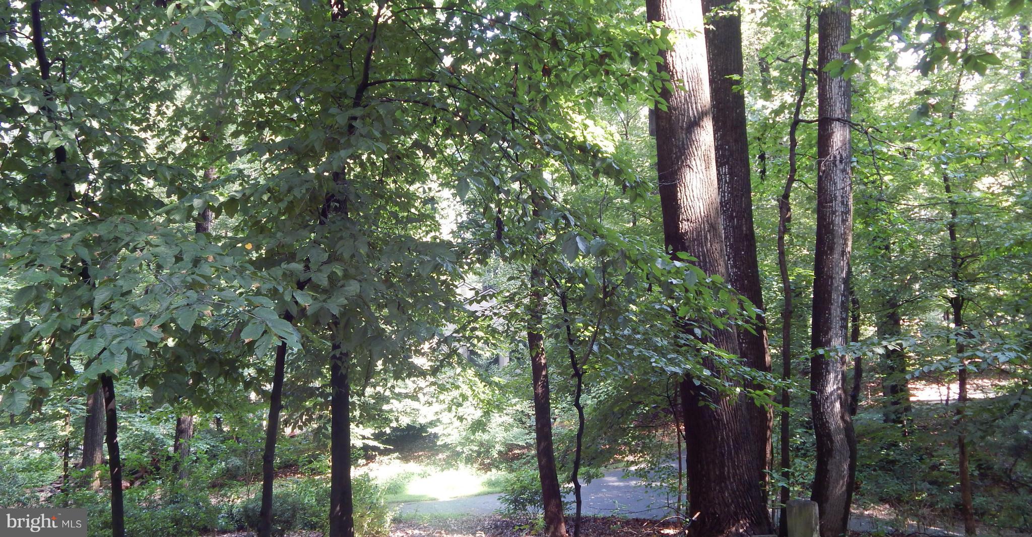 6032 Stevens Forest Road Columbia, MD 21045 - Photo 29 of 29