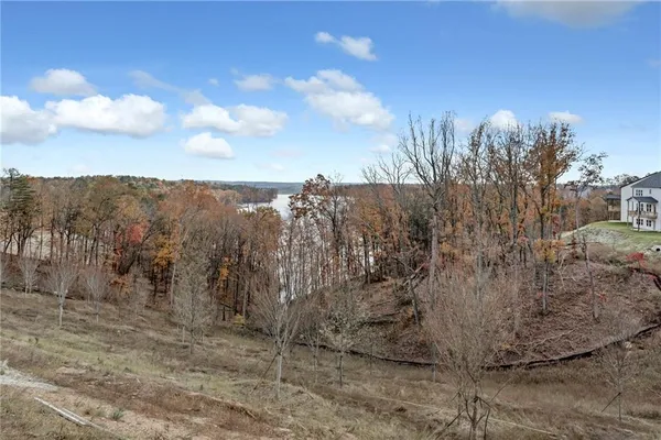 a view of a dry yard with trees