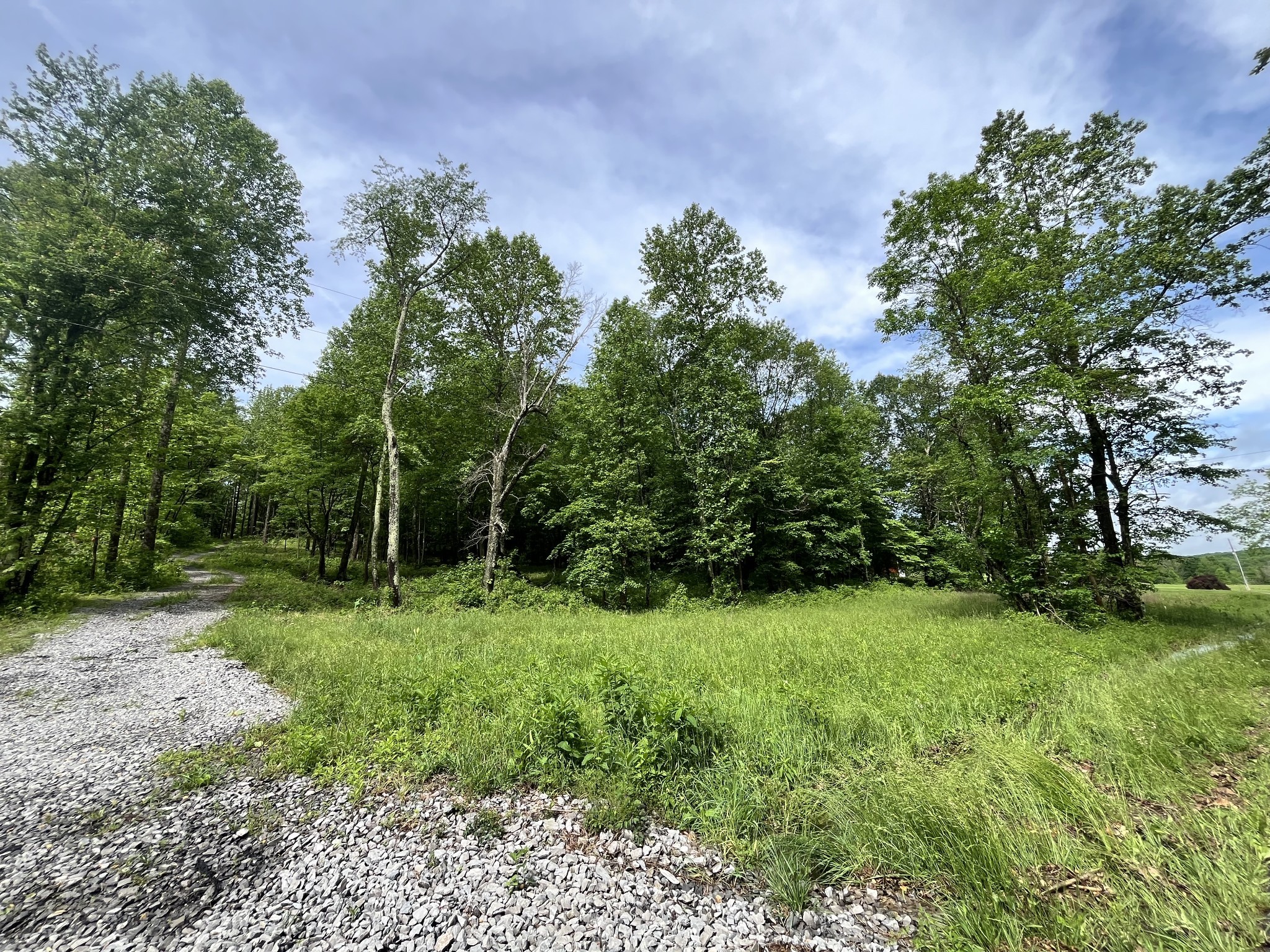 0 Keytown Road Portland, TN 37148 - Photo 3 of 12